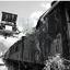 A forlorn, black and white photograph of an abandoned train..jpg